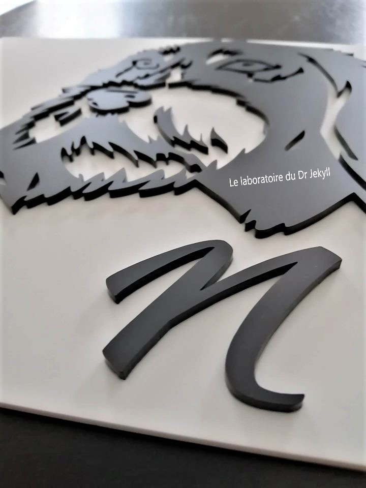 Plaque 3D