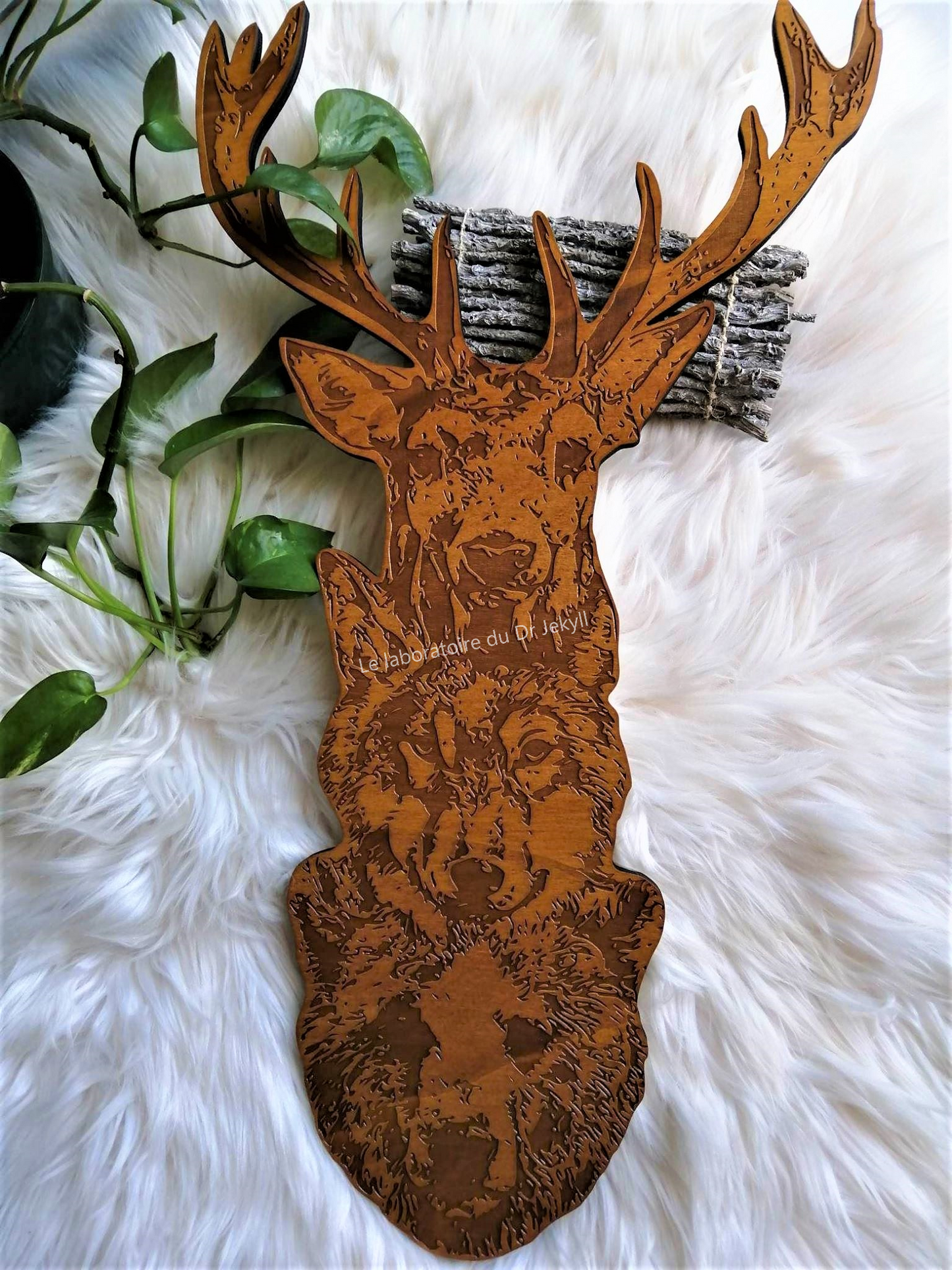 Animaux Totem