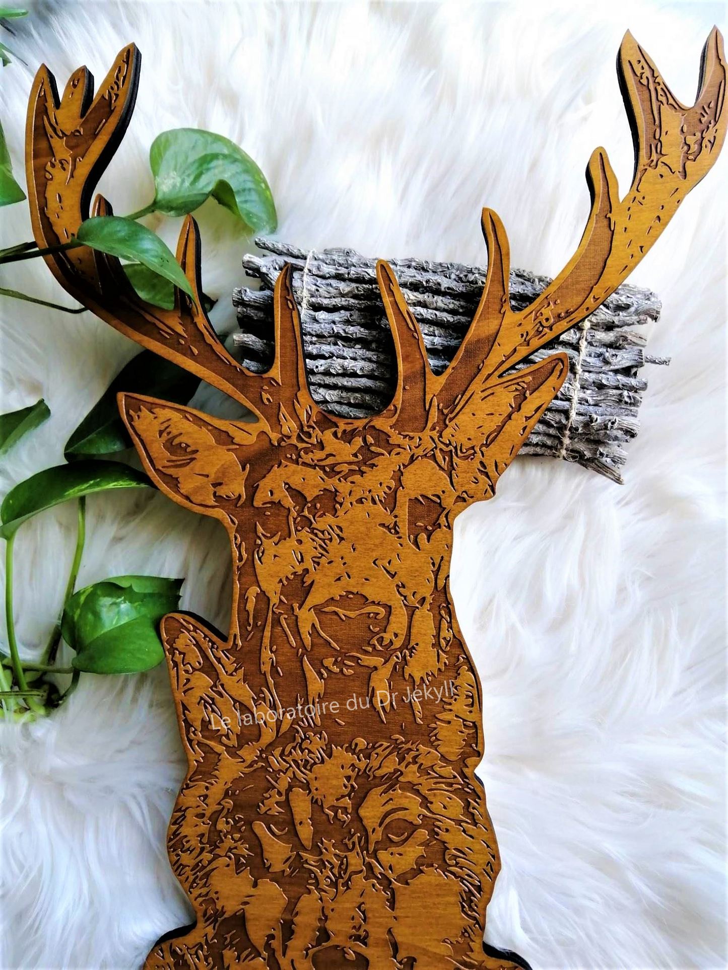 Animaux Totem